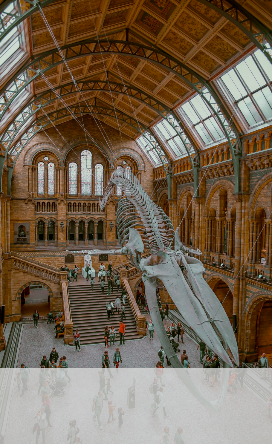 Picture of inside the museum