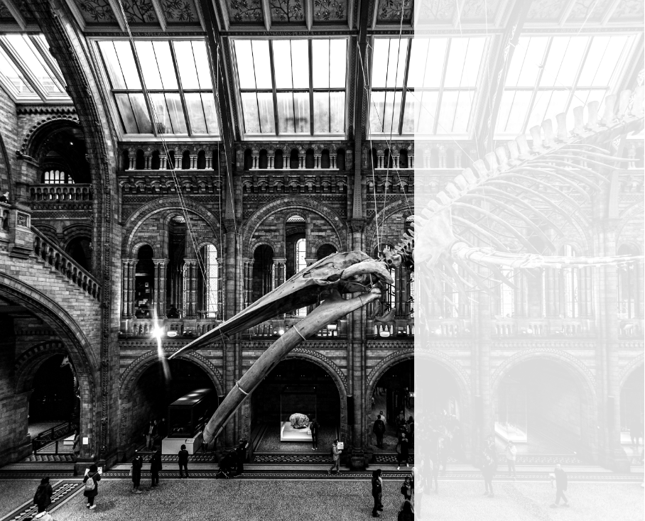 picture of the museum hall